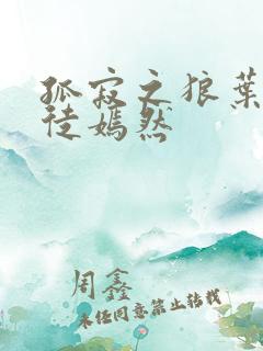孤寂之狼叶凡司徒嫣然