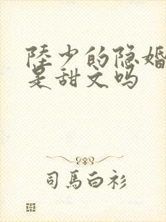 陆少的隐婚罪妻是甜文吗