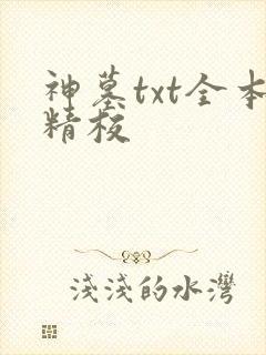 神墓txt全本精校