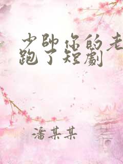 少帅你的老婆又跑了短剧