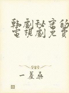 韩剧秘密的男人电视剧免费