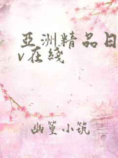 亚洲精品日韩av在线