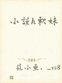 小说h软妹
