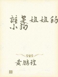谁是姐姐的笨蛋小狗