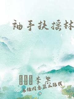 袖手扶摇林凡