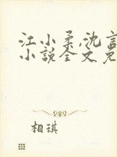 江小柔,沈言城小说全文免费阅读