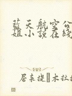 蓝天航空公司空姐小说在线阅读