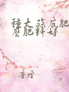 种大蒜底肥用什么肥料好