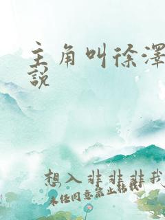 主角叫徐泽的小说