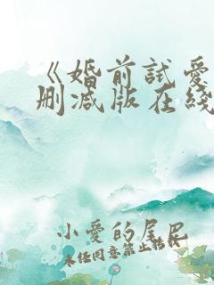 《婚前试爱》无删减版在线观看
