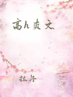 高h爽文
