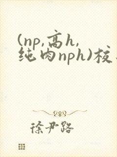 (np,高h,纯肉nph)校园