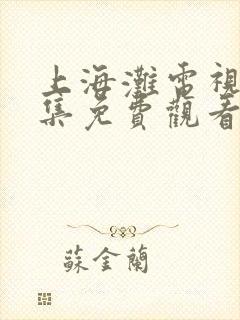 上海滩电视剧全集免费观看40集黄晓明