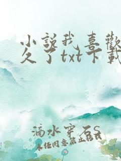小说我喜欢你很久了txt下载