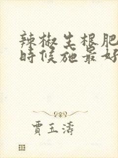 辣椒生根肥什么时候施最好