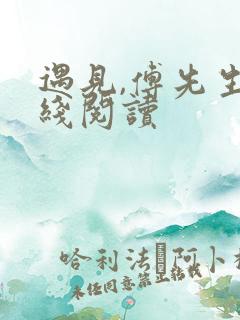 遇见,傅先生在线阅读