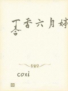 丁香六月婷婷综合