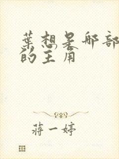 叶想是哪部小说的主角