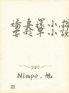 娇妻还小,总裁要趁早小说全文免费阅读
