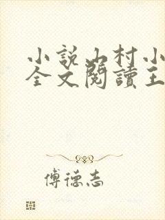 小说山村小神医全文阅读王铁柱