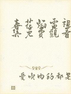 春花焰电视剧全集免费观看