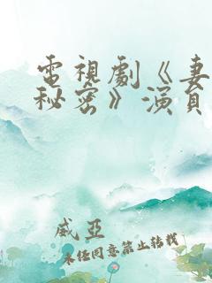 电视剧《妻子的秘密》演员
