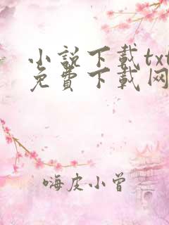 小说下载txt免费下载网站