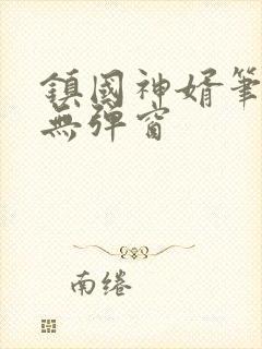 镇国神婿笔趣阁无弹窗
