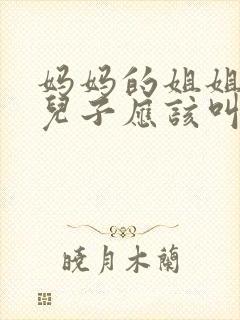 妈妈的姐姐家的儿子应该叫什么