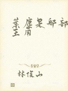 叶尘是哪部小说主角