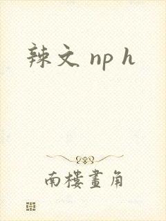 辣文 np h