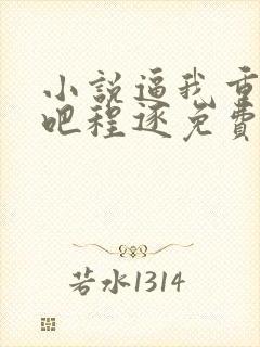 小说逼我重生是吧程逐免费阅读免费