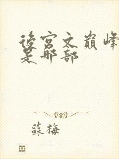 后宫文巅峰之作是哪部