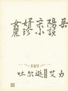 女婿宋阳岳母陈丽珍小说