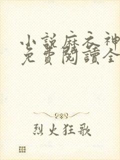 小说麻衣神算子免费阅读全文无窗口
