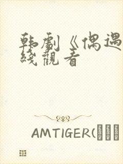 韩剧《偶遇》在线观看