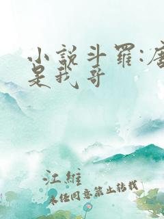小说斗罗:唐三是我哥