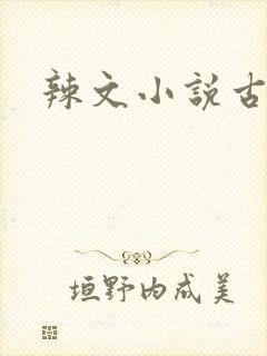 辣文小说古文