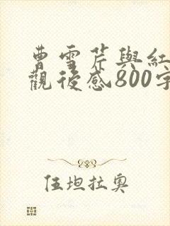 曹雪芹与红楼梦观后感800字