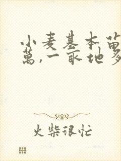 小麦基本苗15万,一亩地多少斤麦种