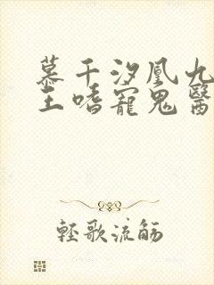 慕千汐凰九夜邪王嗜宠鬼医