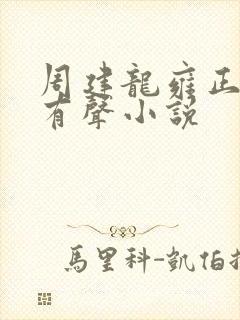 周建龙雍正王朝有声小说