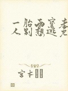 一胎两宝老婆大人别想逃免费阅读
