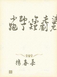 少帅,你老婆又跑了短剧免费大结局