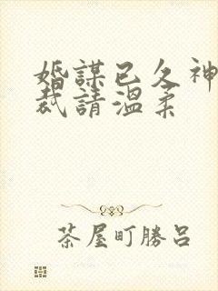 婚谋已久神秘总裁请温柔