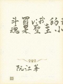 斗罗v:我的武魂是圣主小说