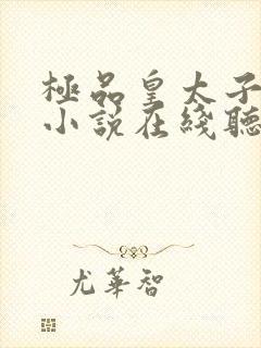 极品皇太子有声小说在线听