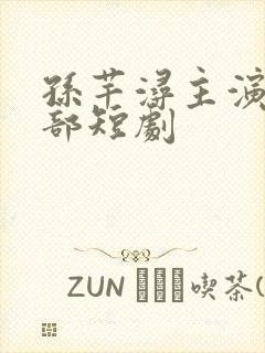 孙芊浔主演的全部短剧