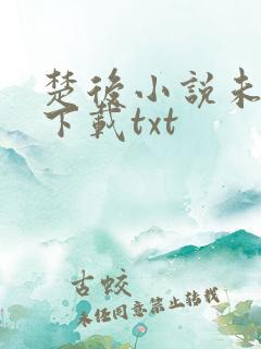 楚后小说未删版下载txt