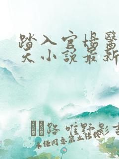 踏入官场医道问天小说最新章节